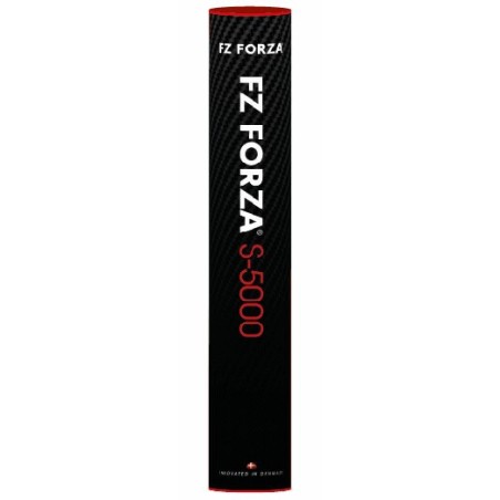 FORZA S5000